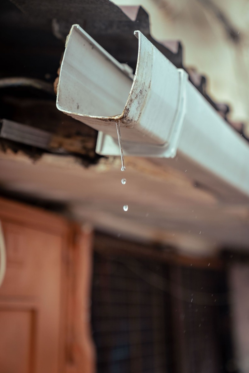 Gutters & Downspouts by Ridgeline Roofing Co.